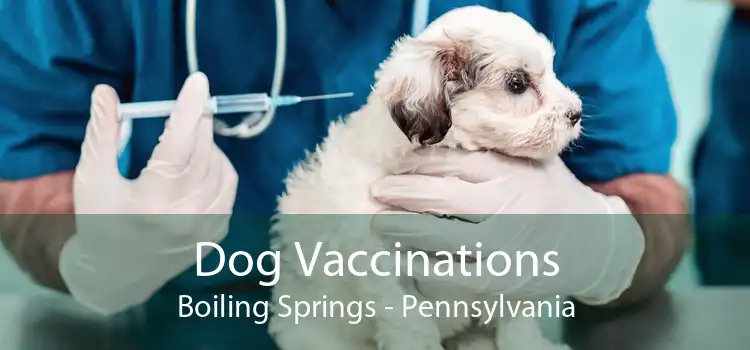 Dog Vaccinations Boiling Springs - Pennsylvania