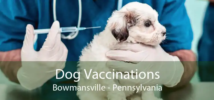 Dog Vaccinations Bowmansville - Pennsylvania