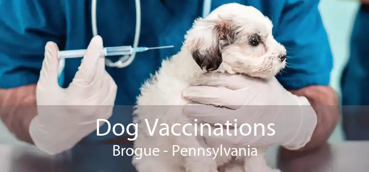 Dog Vaccinations Brogue - Pennsylvania