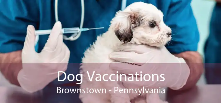 Dog Vaccinations Brownstown - Pennsylvania