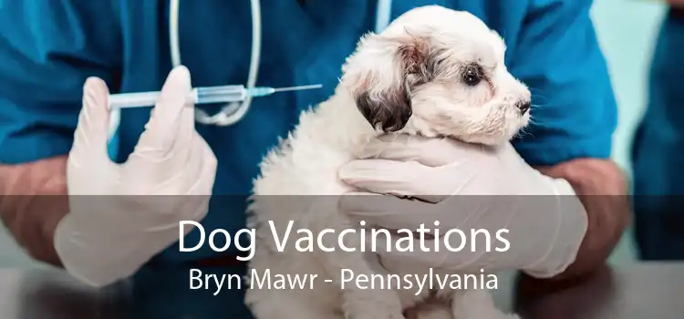 Dog Vaccinations Bryn Mawr - Pennsylvania
