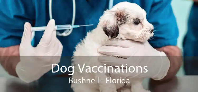 Dog Vaccinations Bushnell - Florida