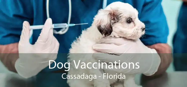 Dog Vaccinations Cassadaga - Florida
