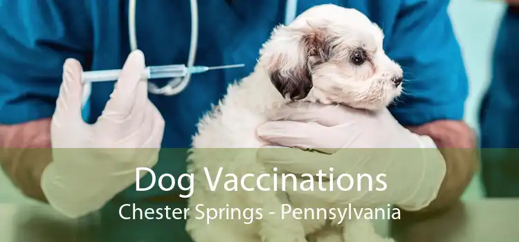 Dog Vaccinations Chester Springs - Pennsylvania
