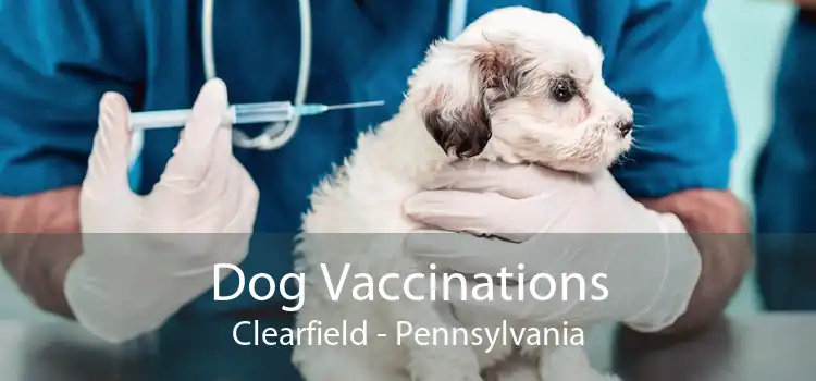 Dog Vaccinations Clearfield - Pennsylvania