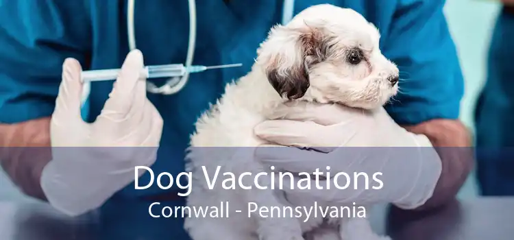 Dog Vaccinations Cornwall - Pennsylvania