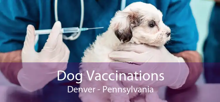 Dog Vaccinations Denver - Pennsylvania
