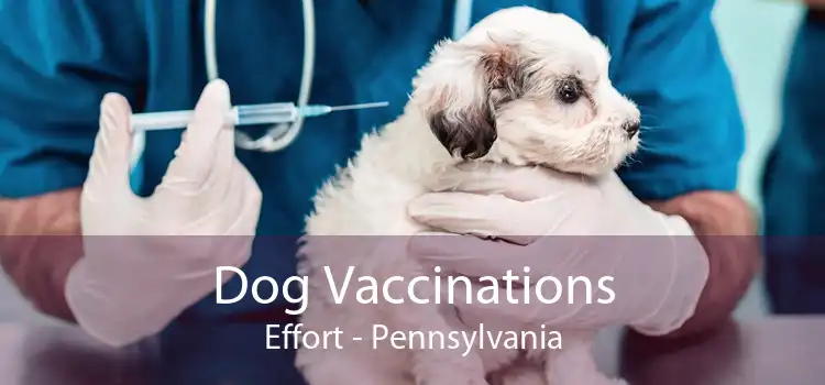 Dog Vaccinations Effort - Pennsylvania