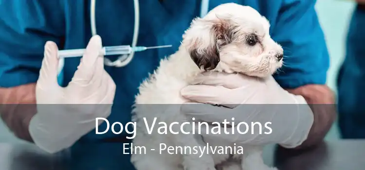 Dog Vaccinations Elm - Pennsylvania