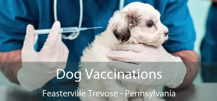 Dog Vaccinations Feasterville Trevose - Pennsylvania