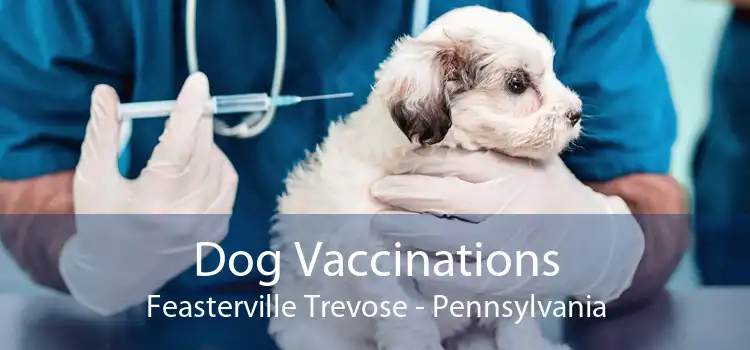 Dog Vaccinations Feasterville Trevose - Pennsylvania