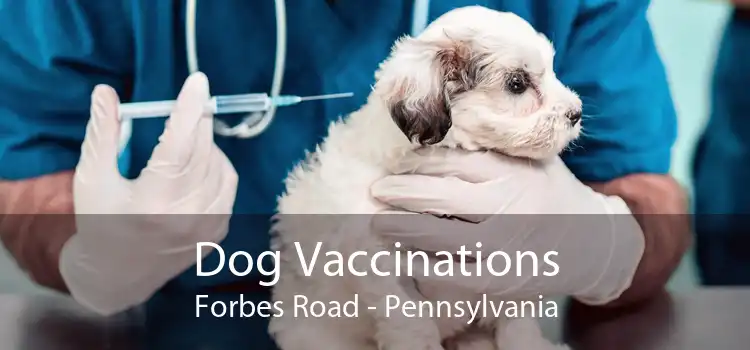 Dog Vaccinations Forbes Road - Pennsylvania