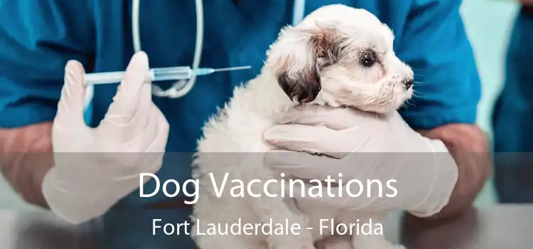 Dog Vaccinations Fort Lauderdale - Florida