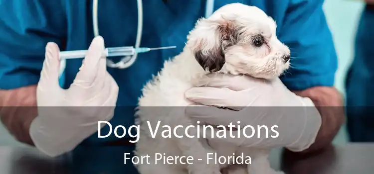 Dog Vaccinations Fort Pierce - Florida