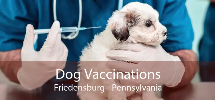 Dog Vaccinations Friedensburg - Pennsylvania