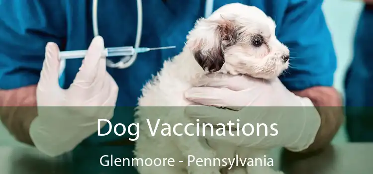 Dog Vaccinations Glenmoore - Pennsylvania