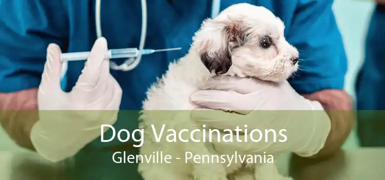 Dog Vaccinations Glenville - Pennsylvania