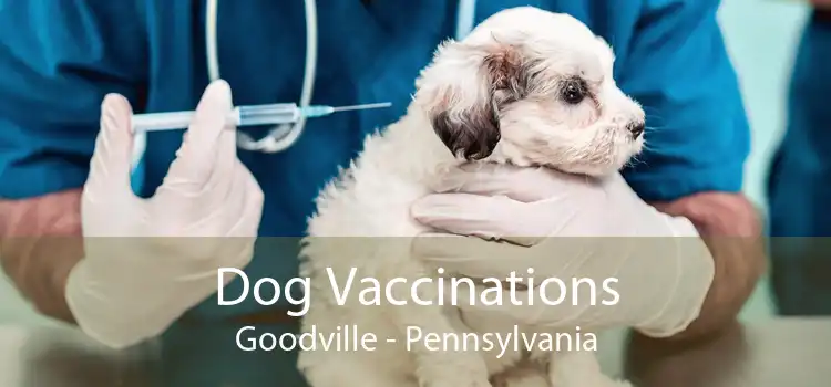 Dog Vaccinations Goodville - Pennsylvania