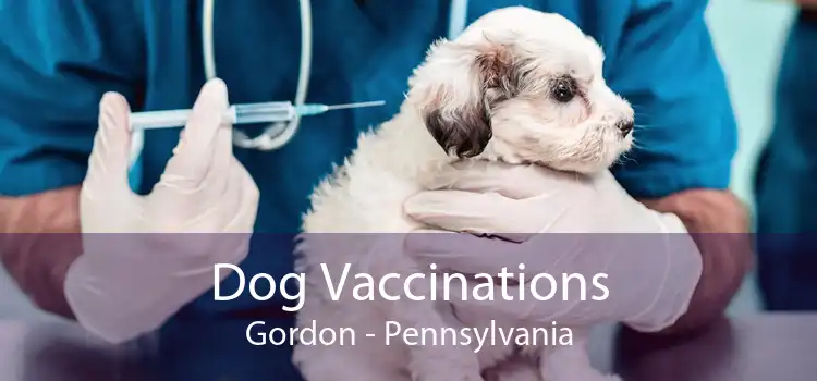 Dog Vaccinations Gordon - Pennsylvania