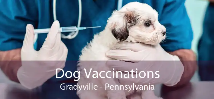 Dog Vaccinations Gradyville - Pennsylvania