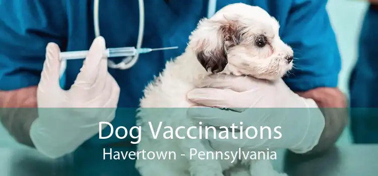 Dog Vaccinations Havertown - Pennsylvania