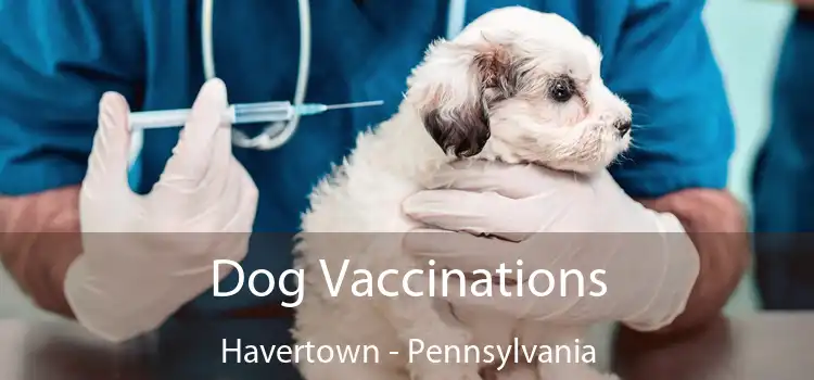 Dog Vaccinations Havertown - Pennsylvania