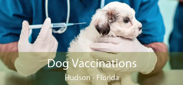 Dog Vaccinations Hudson - Florida