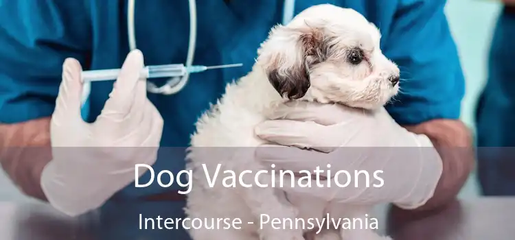 Dog Vaccinations Intercourse - Pennsylvania