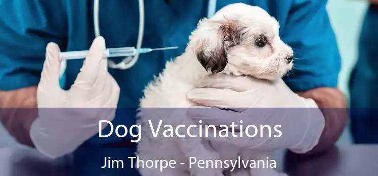 Dog Vaccinations Jim Thorpe - Pennsylvania