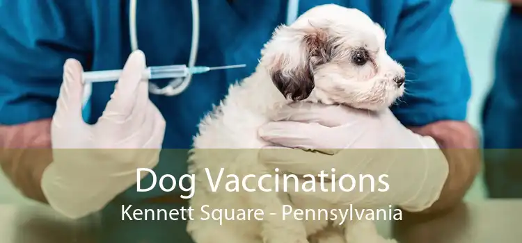 Dog Vaccinations Kennett Square - Pennsylvania
