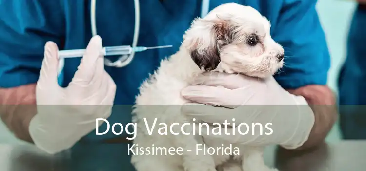 Dog Vaccinations Kissimee - Florida