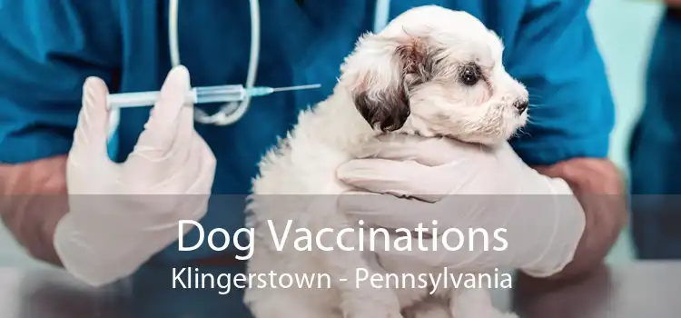 Dog Vaccinations Klingerstown - Pennsylvania