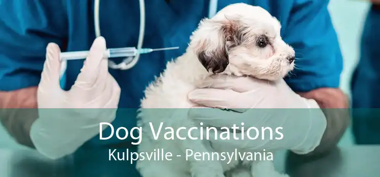 Dog Vaccinations Kulpsville - Pennsylvania