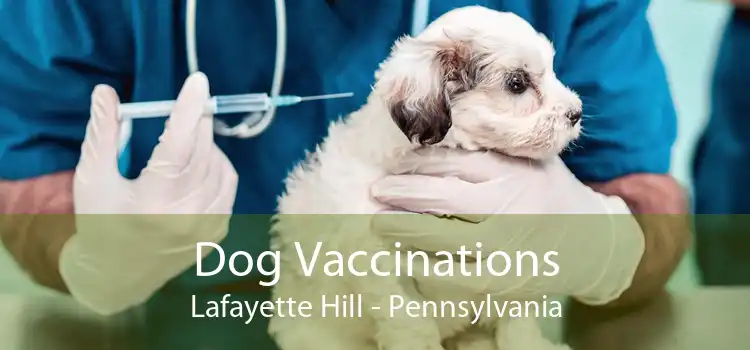 Dog Vaccinations Lafayette Hill - Pennsylvania