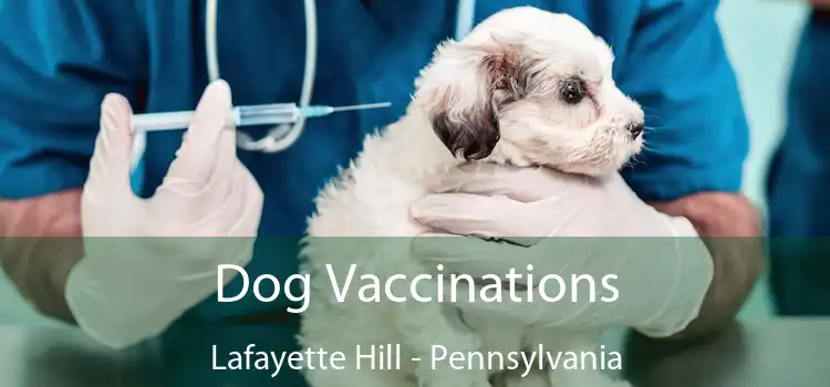 Dog Vaccinations Lafayette Hill - Pennsylvania