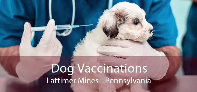 Dog Vaccinations Lattimer Mines - Pennsylvania
