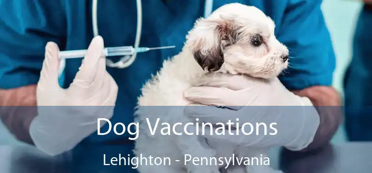 Dog Vaccinations Lehighton - Pennsylvania