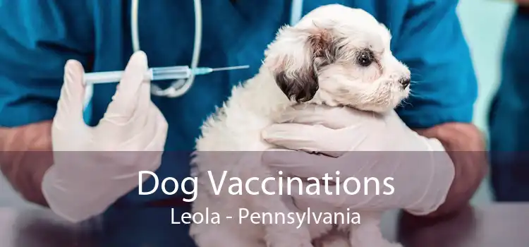 Dog Vaccinations Leola - Pennsylvania