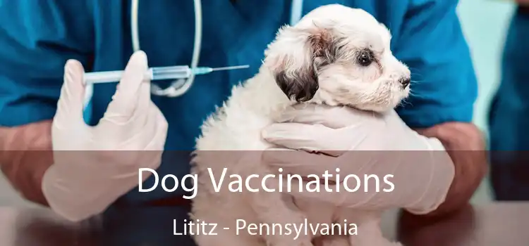 Dog Vaccinations Lititz - Pennsylvania