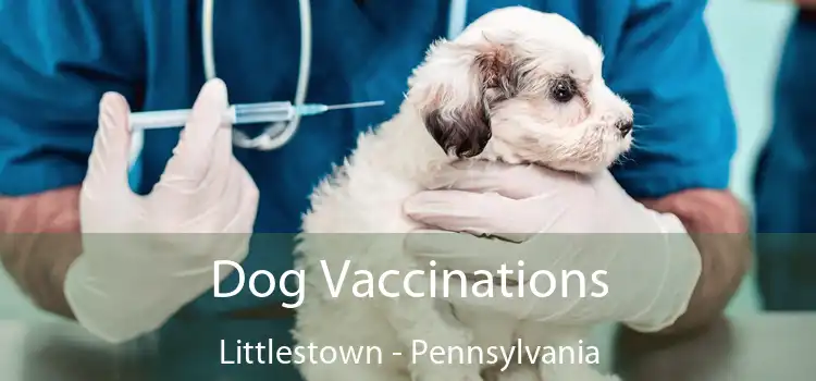 Dog Vaccinations Littlestown - Pennsylvania