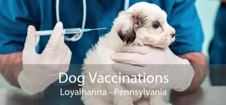 Dog Vaccinations Loyalhanna - Pennsylvania