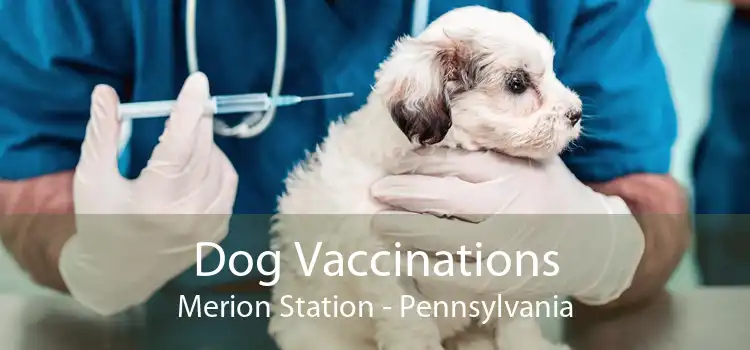 Dog Vaccinations Merion Station - Pennsylvania