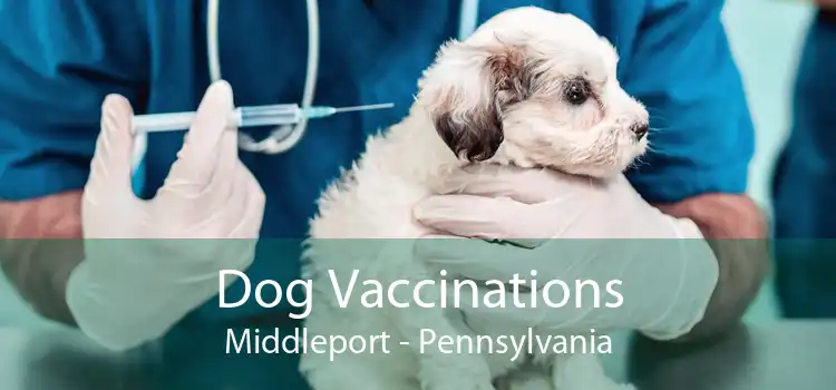 Dog Vaccinations Middleport - Pennsylvania