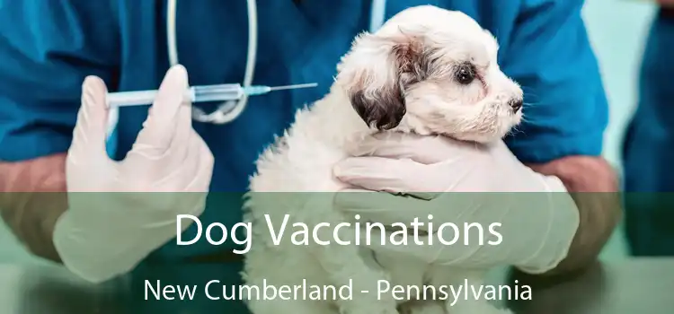 Dog Vaccinations New Cumberland - Pennsylvania