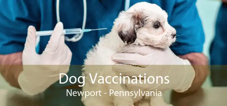 Dog Vaccinations Newport - Pennsylvania