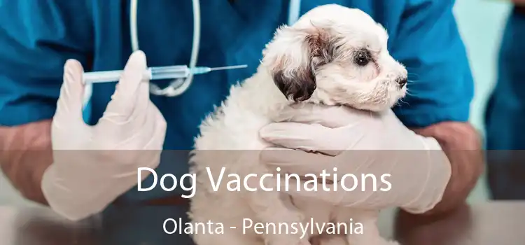 Dog Vaccinations Olanta - Pennsylvania