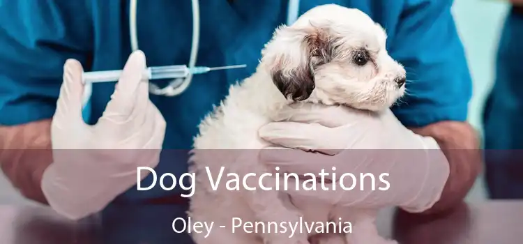 Dog Vaccinations Oley - Pennsylvania
