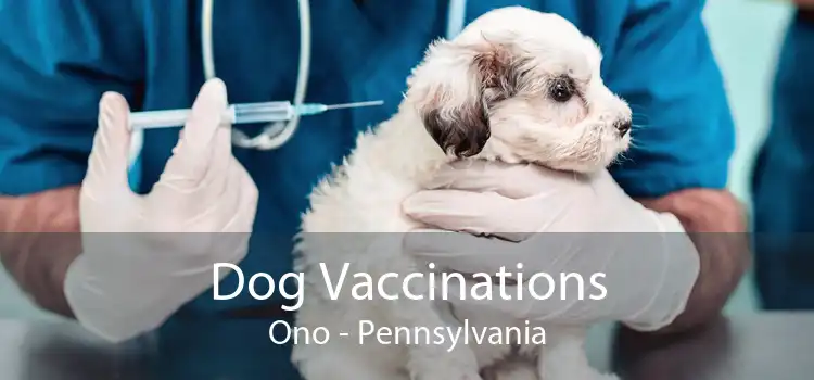 Dog Vaccinations Ono - Pennsylvania