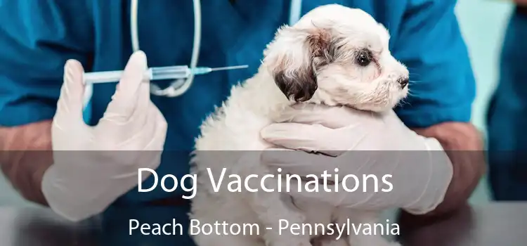 Dog Vaccinations Peach Bottom - Pennsylvania