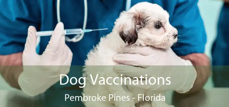 Dog Vaccinations Pembroke Pines - Florida